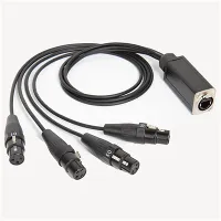 RJ45 I 4 XLR Cebl Benywaidd